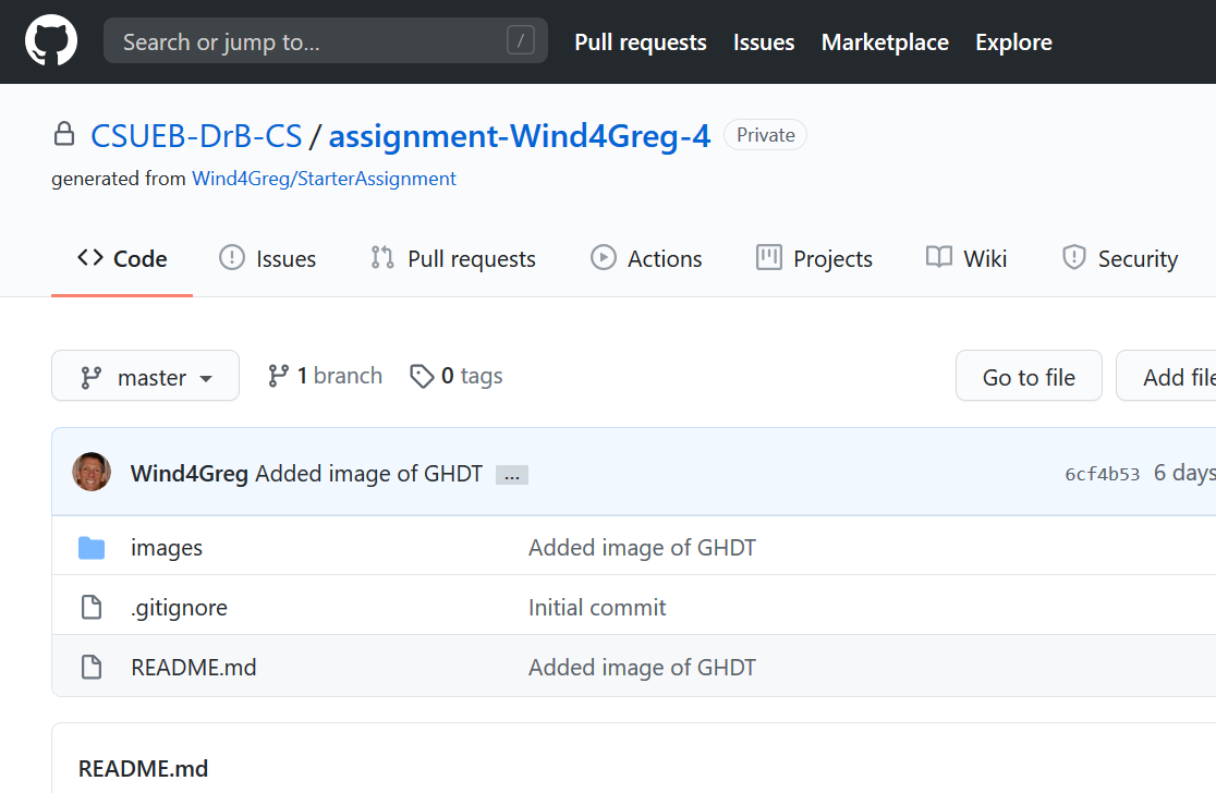 GitHub repo view