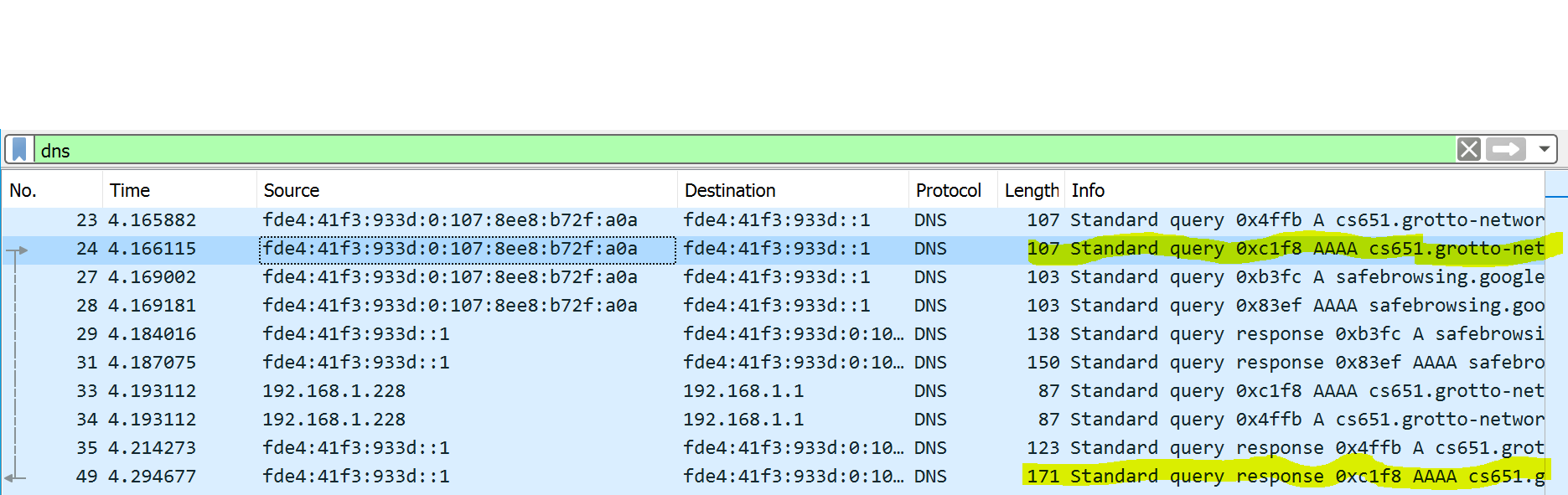 DNS Capture