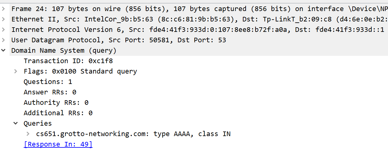 DNS request packet