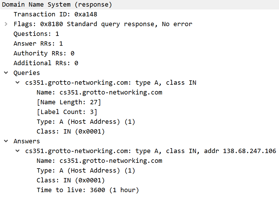 DNS response WireShark