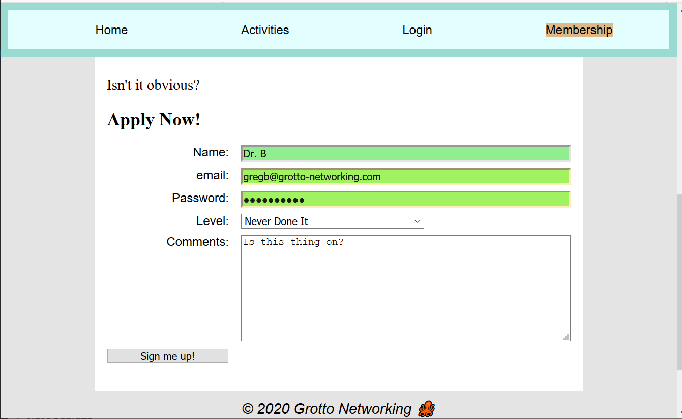 Form layout with Grid