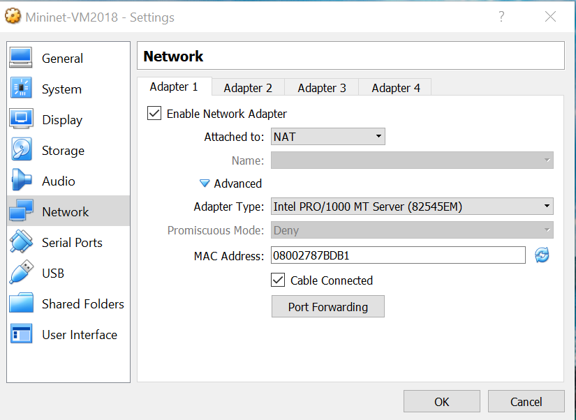 NAT selection for Mininet VM